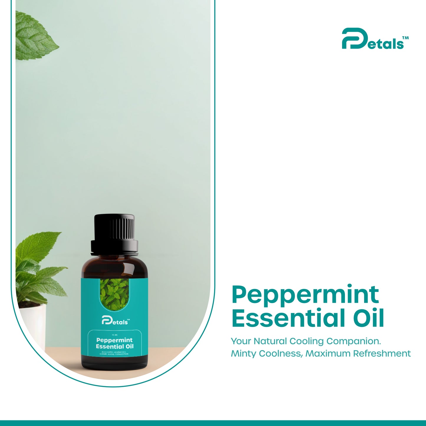 Peppermint Essential Oil