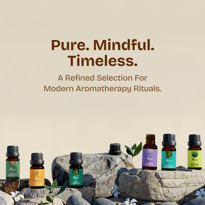 Essential Oils Combo Set, 6 x 15ml, Rosemary, Tea Tree, Lavender, Peppermint, Lemongrass, Sandalwood or Eucalyptus for Aromatherapy and Diffuser