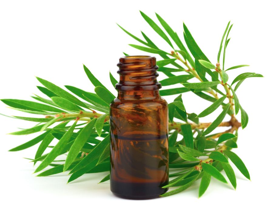 Tea Tree Oil